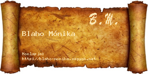 Blaho Mónika névjegykártya
